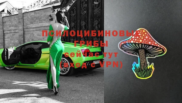 мяу мяу мука Абинск