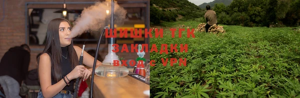 2c-b Алзамай