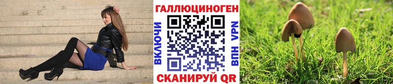 Галлюциногенные грибы MAGIC MUSHROOMS Брюховецкая